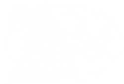 Logo Fahrsportfreunde